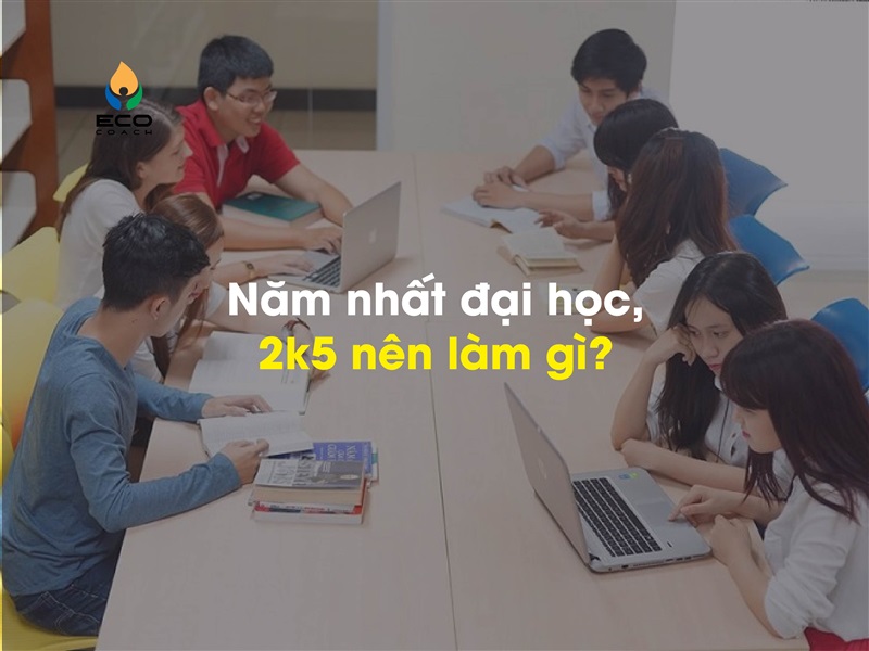 Năm nhất đại học, 2k5 nên làm gì?